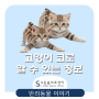 고양이 코로 알 수 있는 정보가 있다?! [위례/북위례/감일지구/거여동/하남/마천동 동물병원 위례s동물의료센터]