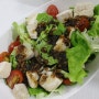 아쿠아포닉스 모듬채소 유러피안 천리팜으로 무농약 샐러드 만들기