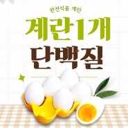 완전식품 계란 1개 단백질 함량과 다른 고단백 식품 비교