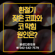 대전비염한의원 환절기 잦은 코피와 코막힘 원인은?