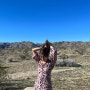 [미국 LA] 조슈아트리 국립공원 투어 스팟 +날씨, 옷차림 팁
