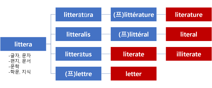 literature와 어원이 같은 단어 : literary, literal, literate, illiterate, letter ...
