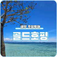 INTP ENFJ 모두 사로 잡은 골드호핑투어 (feat. 초2, 30개월 아이랑)
