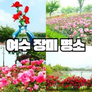 여수 장미 성산공원 축제 성산골 주차장 산책코스