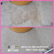 논현동 관공서 대강당 바닥카페트 커피얼룩 부분 청소세탁