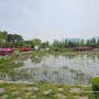 천안 아산 걷기 좋은 길 신정호 산책길 신정호수 공원