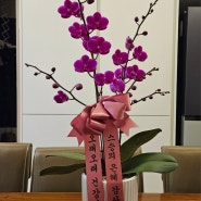 올해 스승의 날에 받은 아름다운 꽃과 커피와 약 _ 2024. 5. 15.