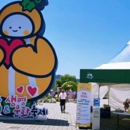 <어르신 나들이> 성주 참외 & 생명문화 축제