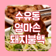 서울 기사식당 맛집 수유 엄마손 돼지불백 수유본점 별관 비교 후기