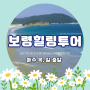 보령힐링투어-1인 7만9천원