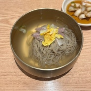 부산 진구 개금 평양냉면 맛집 '담미옥' / 미쉐린 가이드 선정 평냉맛집
