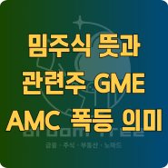 미국주식 밈주식 관련주 뜻과 게임스탑 GME AMC 폭등의 의미