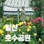 경기도 일산 호수공원 장미원 서울근교 꽃구경 가볼만한곳