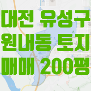 대전 유성구 원내동 코너각지 토지 매매, 국가산업단지 수혜지역