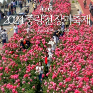 2024년 서울 중랑천 장미축제 부스 사진스팟 주차정보