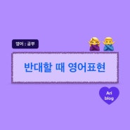 [비즈니스 미팅용 영어] 상대방에게 반대할 때 영어 표현 쿠션어와 함께 알아보자!