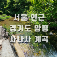 서울 인근 경기도 가볼 만한 곳 양평 계곡 추천 용문산 사나사 계곡 주차 명당 아이들과 함께 가기 좋은 명소!