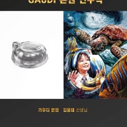 평촌미술학원 가우디의 성균관대 시각디자인, 써피스디자인 기출문제 풀이 연구작 공개