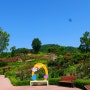 경북 가볼만한곳 : 상주 장미공원 함창명주테마파크공원