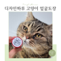 내고양이 소량굿즈 디자인하루 포토 스탬프제작 반려동물 얼굴 도장 만들기
