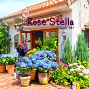 인천 계양구 :: 수국 가득한 로즈스텔라 정원 🌼 Flowershop Rosestella