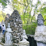 부산 근교 가볼 만한 곳 부처님 오신 날::: 양산 천불사 소원 들어주는 관음석굴