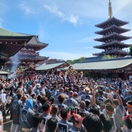 [도쿄 아사쿠사] 5월 산자 마츠리 일본 동경 삼대 축제 볼거리 5년 만에 제대로 열린 대행렬 오미코시 三社祭