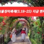 서울장미축제 지금가볼만한곳 서울 장미공원 중랑천 장미축제