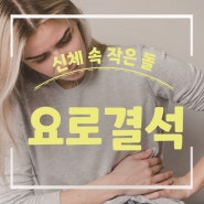 더위로 생긴 돌, 한방에 날리는 요로결석 치료법!