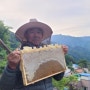 지리산 약초꽃꿀 이렇게 많이 들었어요