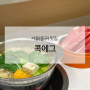 [서울 중구 맛집] 혼밥하기 좋은 명동 1인 샤브샤브 맛집 콕에그