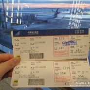 [CZ342] 모스크바(SVO)-베이징(PKX) A333 (B-300V) 중국남방항공 탑승기 (북경다싱공항 1시간 50분 환승)