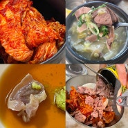 🔥내돈내산 [대전 선화동소머리해장국] 선화동실비김치 얼마나 매울까? 쫄깃한 대전소머리국밥 솔직후기 선화동맛집