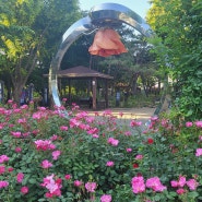 주말 가볼만한 축제-서울 중랑 장미공원, 사진 찍기 좋은곳