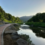서울 자연 속에서 걸으며 생각하기 좋은 곳, 주말 양재천 걷기