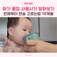 아기 물컵 사용시기 언제부터 연습방법 고르는법 10개월 아기