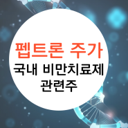 펩트론 주가 국내 비만치료제 관련주 추가 기술이전 주식 전망