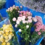 남대문 꽃시장 영업시간, 주말 꽃 가격
