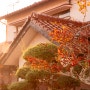 [일본여행] 후쿠오카 여행 ep.03_유후인 산책 : 유노츠보 빵토에스프레소 에이코푸마트 오이타강 가을산책로