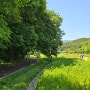 5월 가볼만한 여행지 함양 상림공원 맨발걷기 좋은 길(애견동반불가)