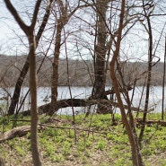 Riverbend Park, Great Falls, VA_20240316