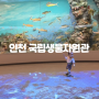 [인천 아기랑] 돌아기 가볼만한곳 국립생물자원관 유아휴게실 정보