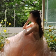 ᭙.촬영드레스: (토탈) 보다연희재 스튜디오 촬영날-제이스포사 유색 드레스 핑크