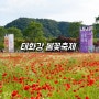 울산 태화강 국가정원 봄꽃축제 기본정보 양귀비 작약 개화상황
