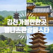 경북축제 2024 웰니스관광페스타 김천 사명대사공원 아이와가볼만한곳
