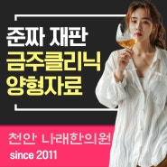 서울 음주 준짜 공판에 금주클리닉 양형자료 채비