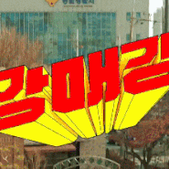 강력하진 않지만 매력적인 강력반 김동욱 강매강 SBS 에서 디즈니+