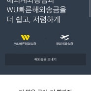 D+24) 카카오뱅크 해외 송금하기 (WC빠른해외송금/해외계좌송금)