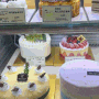 동탄케이크 맛집 수제 케이크 부문 대상 탄 하얀풍차제과점 동탄역점