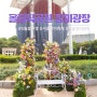 서울 올림픽공원 장미광장 장미축제 5월 6월 꽃구경